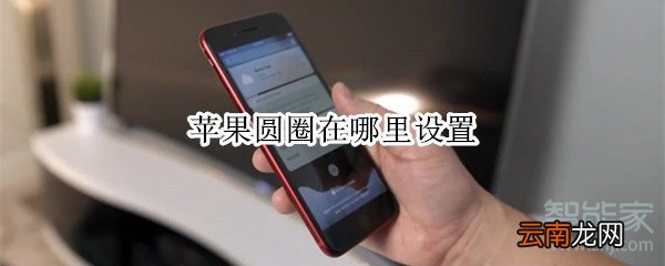 苹果圆圈在哪里设置