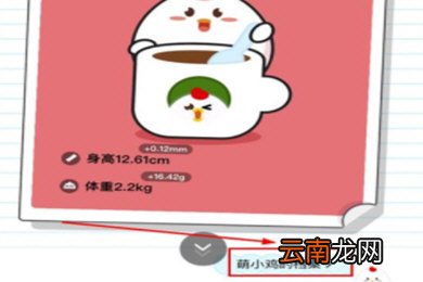 支付宝中更改蚂蚁庄园小鸡信息具体操作方法