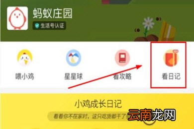 支付宝中更改蚂蚁庄园小鸡信息具体操作方法
