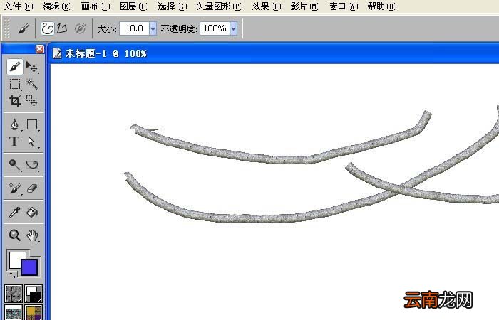 painter中使用钢笔式花瓣效果具体操作方法