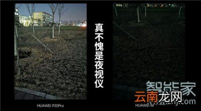 p30pro全黑能拍照吗