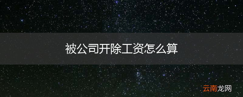 被公司开除工资怎么算