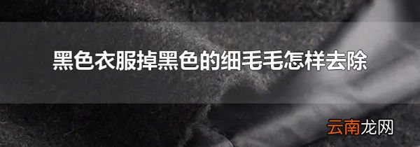 黑色衣服掉黑色的细毛毛怎样去除