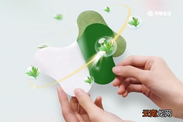 艾草腰椎贴的功效与作用 艾草腰椎贴主要起到什么作用