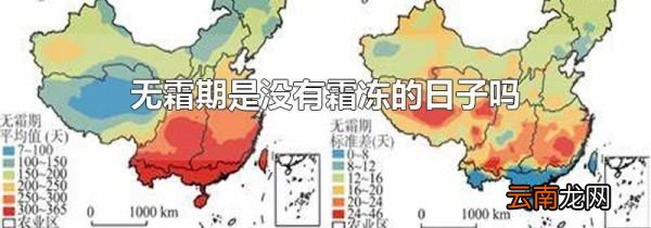 无霜期是没有霜冻的日子吗