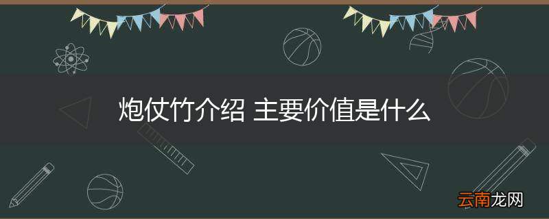 炮仗竹介绍 主要价值是什么