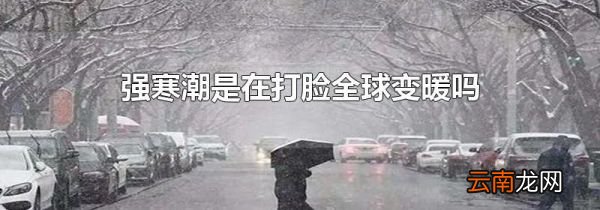 强寒潮是在打脸全球变暖吗
