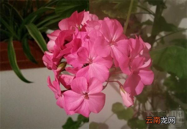 智能手机拍照模糊的原因是什么 智能手机拍照为什么模糊