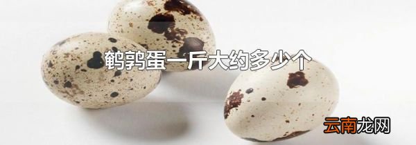 鹌鹑蛋一斤大约多少个