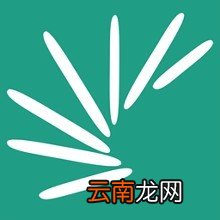 扇贝单词的详细玩法介绍