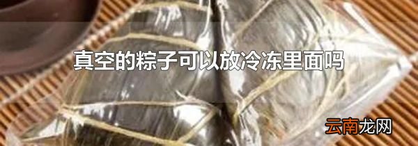 真空的粽子可以放冷冻里面吗