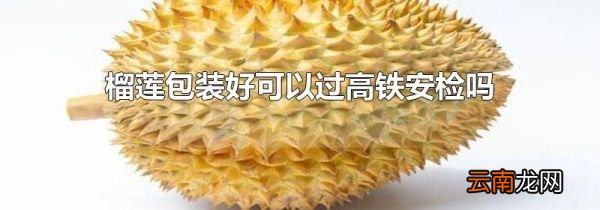 榴莲包装好可以过高铁安检吗