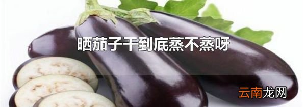 晒茄子干到底蒸不蒸呀