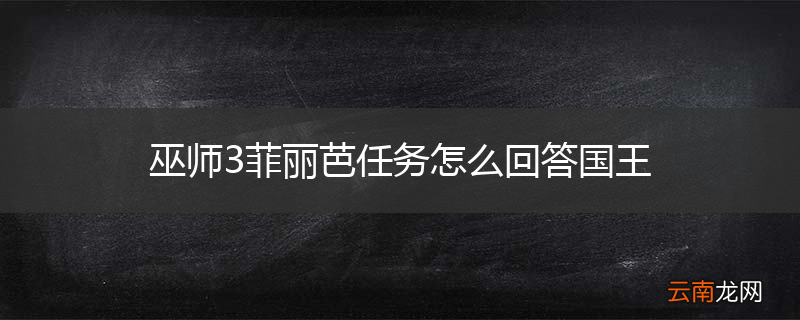 巫师3菲丽芭任务怎么回答国王