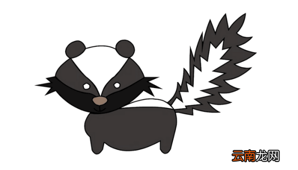 臭鼬简笔画 臭鼬简笔画怎么画
