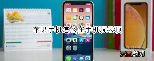 苹果手机怎么在手机玩云顶