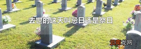 去世的这天叫忌日还是祭日