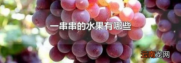一串串的水果有哪些