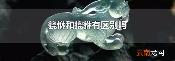 貔恘和貔貅有区别吗