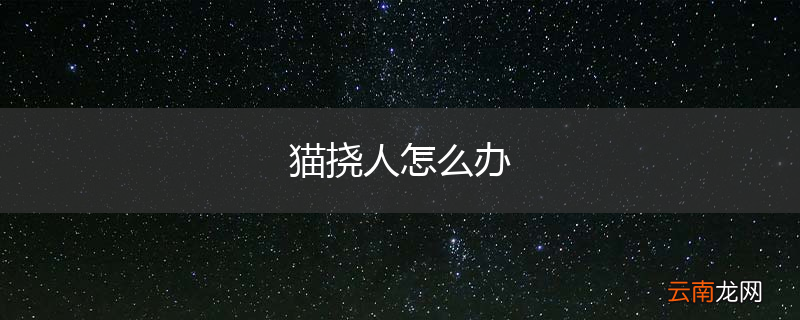 猫挠人怎么办