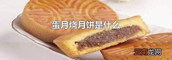蛋月烧月饼是什么