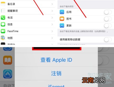 苹果手机为什么显示此时无法下载