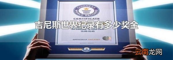 吉尼斯世界纪录有多少奖金