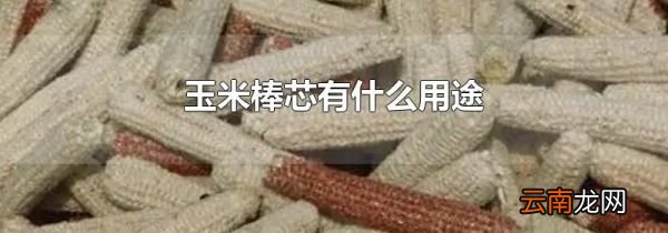 玉米棒芯有什么用途
