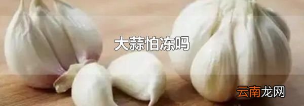 大蒜怕冻吗