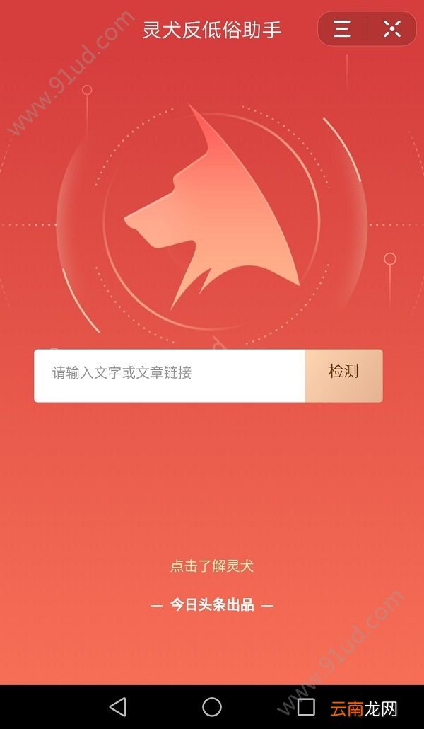 今日头条上线“灵犬”小程序将对外开放反低俗技术模型！