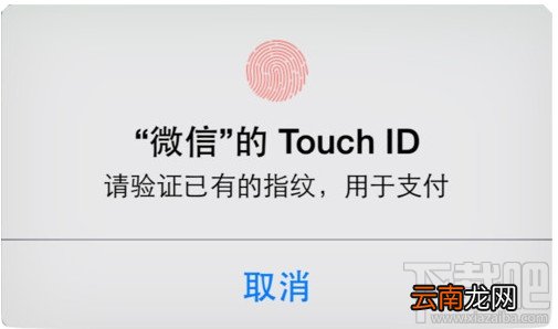 微信指纹支付如何设置教程 指纹支付在哪里打开