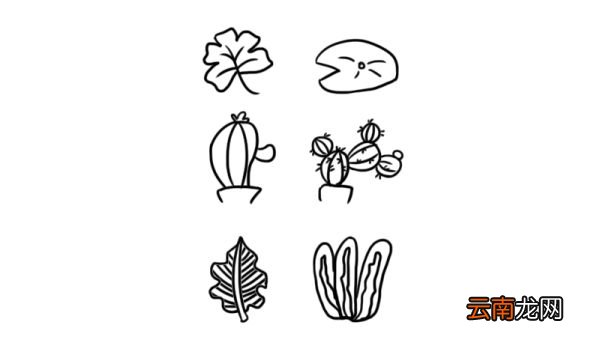 点缀装饰小图案简笔画 装饰小图案的画法