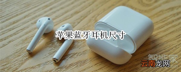 苹果蓝牙耳机尺寸