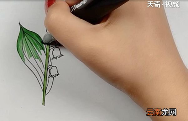 铃兰简笔画