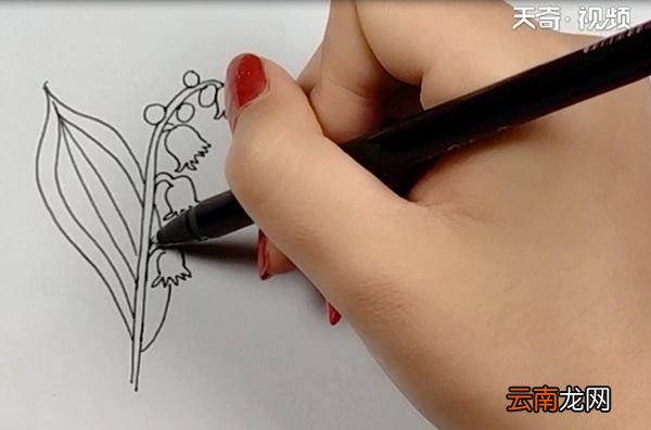 铃兰简笔画