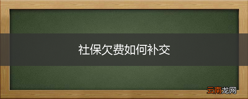 社保欠费如何补交