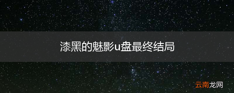 漆黑的魅影u盘最终结局