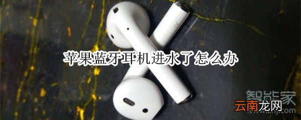 苹果蓝牙耳机进水了怎么办