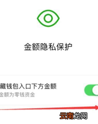 零钱通能不显示金额吗
