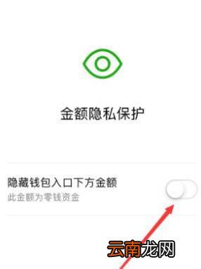 零钱通能不显示金额吗