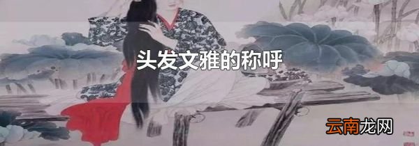 头发文雅的称呼