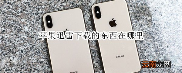 苹果迅雷下载的东西在哪里