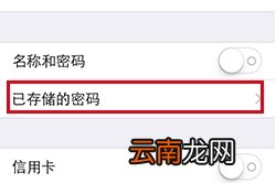 苹果手机存的密码在哪里可以找到