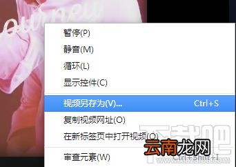 百度大导演视频怎么下载
