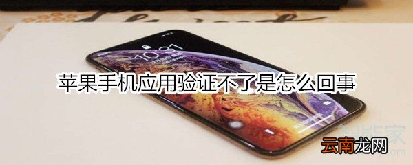 苹果手机应用验证不了是怎么回事