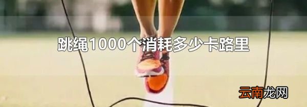 跳绳1000个消耗多少卡路里