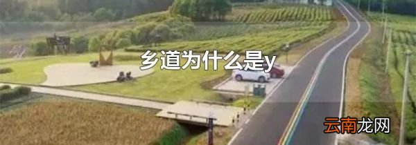 乡道为什么是y