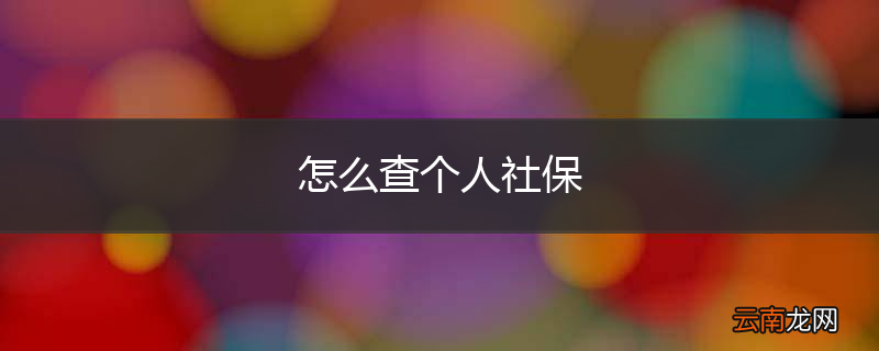 怎么查个人社保