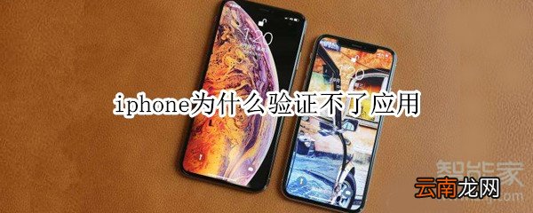 iphone为什么验证不了应用