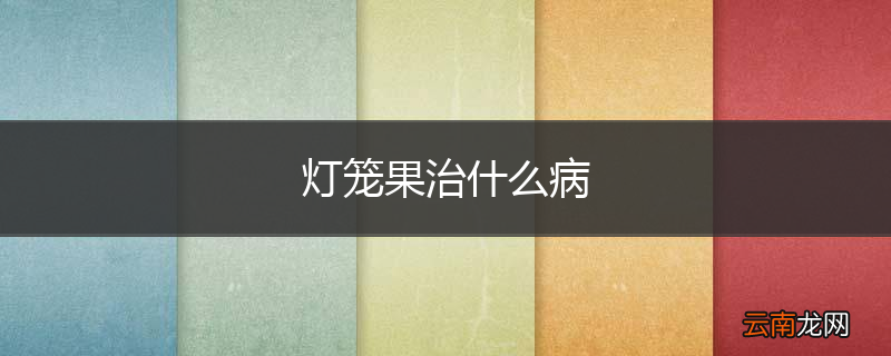 灯笼果治什么病
